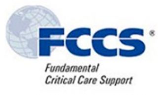 Programa Curso  Fundamentos de Soporte  en Cuidado Crítico FCCS